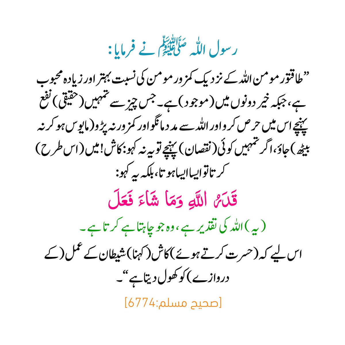 its_warishaw's tweet photo. یہ نہ کہو : کاش ! میں ( اس طرح ) 
کرتا تو ایسا ایسا ہوتا 🌺🌹🖤 https://t.co/Tm57m6YGdL