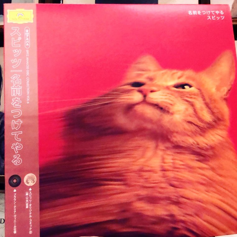 スピッツ / 名前をつけてやる LP入荷🎉 スピッツのレコードいろいろ再