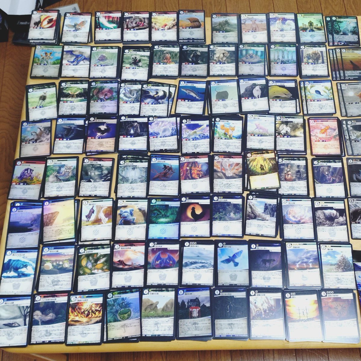 E3%83%96%E3%83%AB%E3%83%89%E3%83%A9