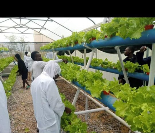 Hydro_Farms's tweet photo. Hydroponics system set up by HydroUrbanFarms being used for practicals by students at the Kaduna institute of water resources ⚒️🫑👩🏾‍🌾
•Plant - iceberg lettuce 🥬
#hydroponics #hydrourbanfarms #nigeria https://t.co/PjU59UKgph