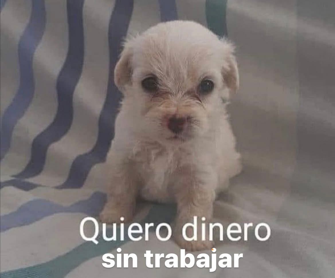 En Júpiter (@en_jupiter_) on Twitter photo 