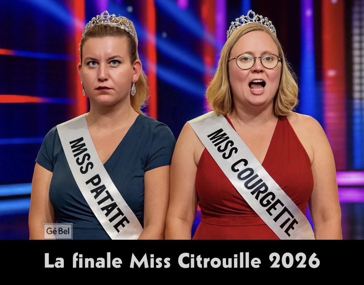 petergutschier's tweet image. 