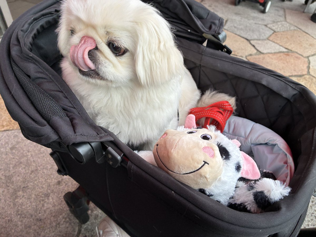 🐶「ぽちにもポテトください」 🐮「ください！」