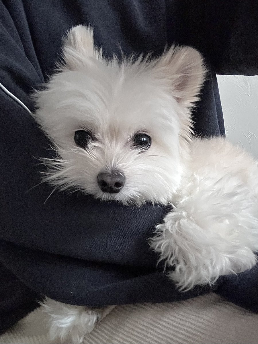 주말바이브 만끽중🤍