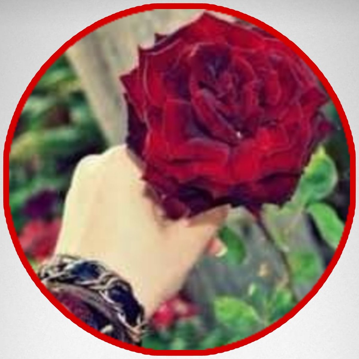 z__ozoz's tweet photo. https://t.co/jH5DKrk9IJ