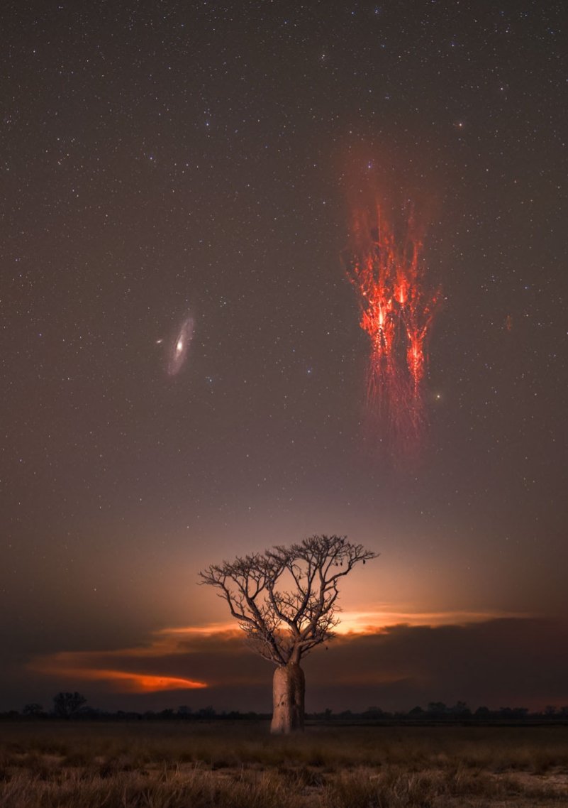 Bon dia! No us perdeu aquesta fotografia captada a Austràlia. Fixeu-vos que hi podem veure la galàxia Andròmeda i un espectre vermell (una mena de llamp que es produeix a l’alta atmosfera). Al centre, un arbre boab mil·lenari. Fantàstica, oi? ❤️

📷 Robert Nemiroff/Jerry Bonnell.