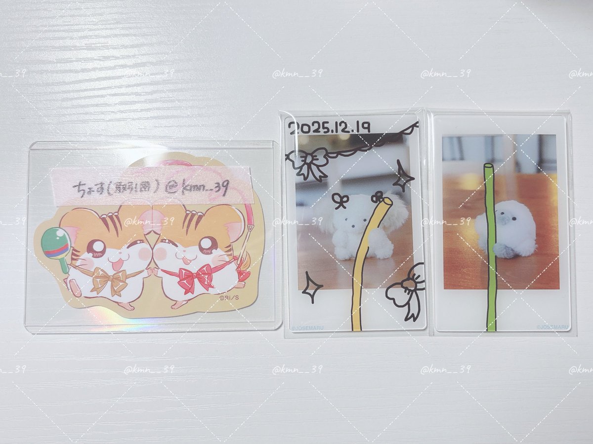 ちょす（取引用） tweet media