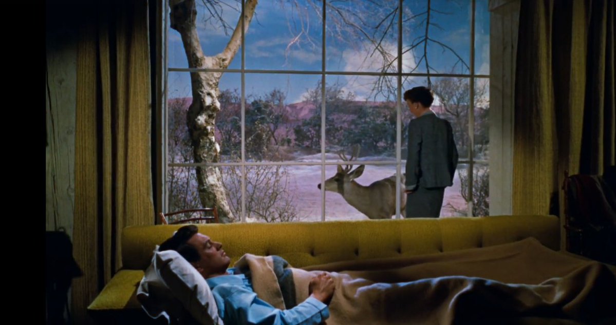 mannmiami's tweet image. the most unbelievable looking movie