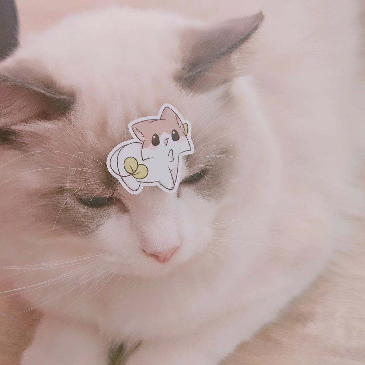 Sunmaower | IF EXPO J05-J06 SUN tweet media