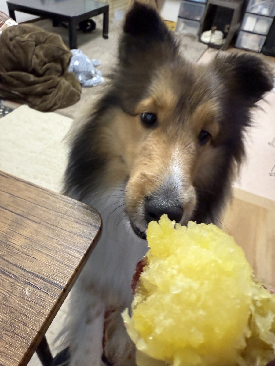 やべえ焼き芋できた