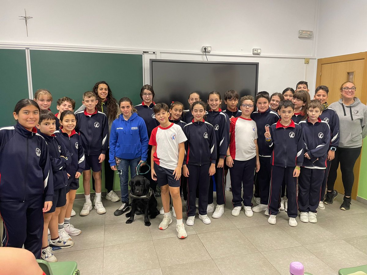 colegiosanvicentedepaul tweet media