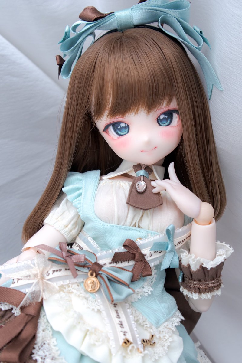 2023年フサアカシア受付3月24日で終了 今晩23時台に終了です！拡散ご協力ありがとうございます、最後まで