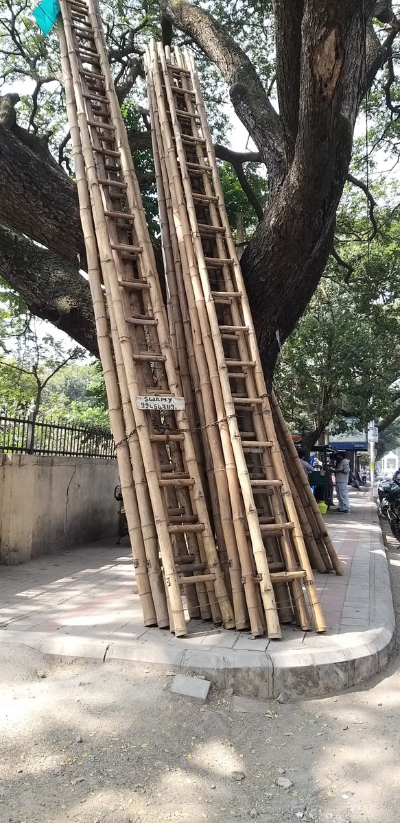 saneyedoc1's tweet photo. #Footpath route to #Jannat  #JBNagar
@malviyapankaj 
@iammnmanju 
@anil_lulla 
@prannayreddy 
@nammabengaluroo 
@swaraj76 
@hennurblr 
@naliniskitchen 
@notme19618102 
@GBA_office
@ChristinMP_  
@jith746 
@_ashwatthama_ 
@thegirlinindia 
@Suchithkidiyoor 
@ever_pessimist https://t.co/6mP0lenxFq