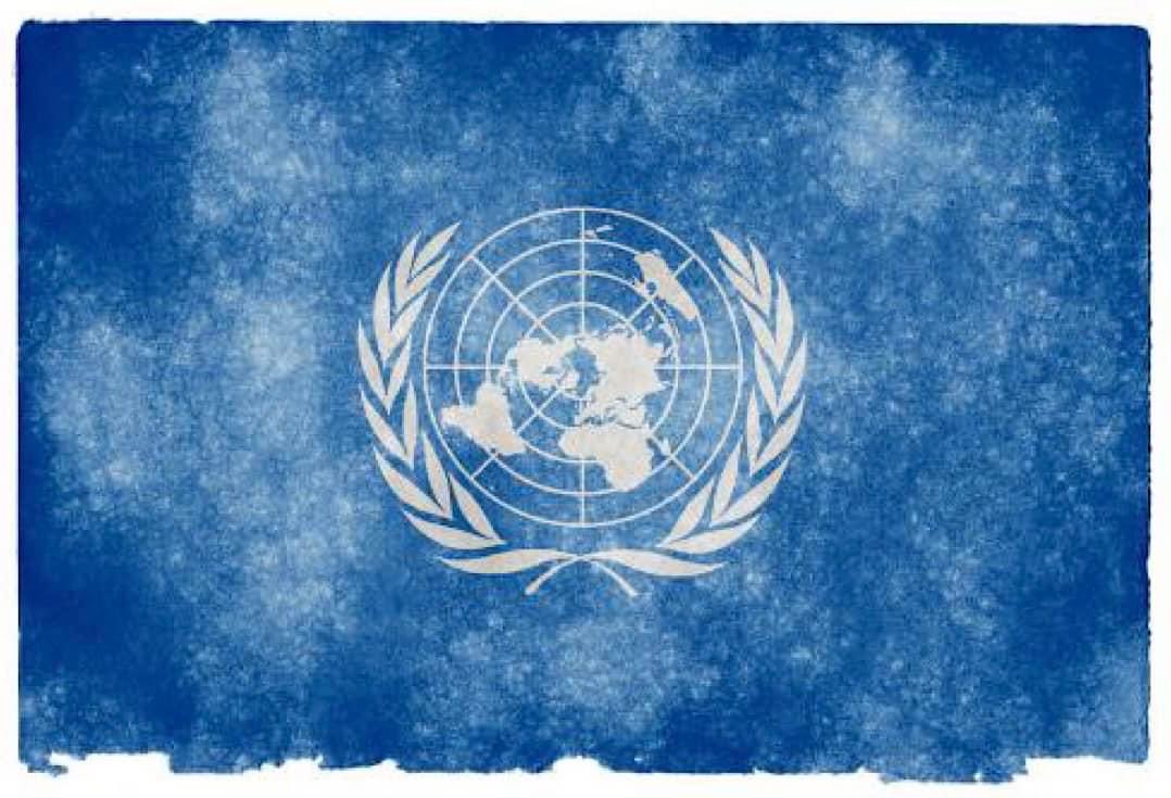 OBSERVERTIMES2's tweet photo. UNITED NATIONS 75TH ANNIVERSARY : CRITICAL ANALYSIS

Read More:

https://t.co/83hUivEJsi

#UNGA #UNGA75 #UNGA76 #UNGA77 #UNGA79 #StandUp4HumanRights #SustainingPeace #GlobalGoals #SDGs #UnitingBuisness #TenPrinciples #UN4Youth #Youth2030 #Sahel https://t.co/LFSjEPkDFK