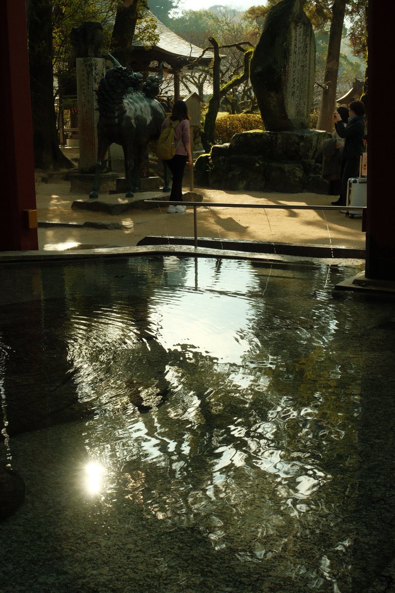 KOU (@greeeenpengin) / Posts / X