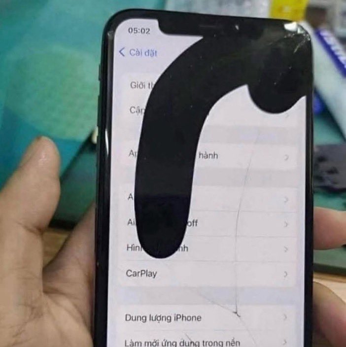 ファルス tweet media