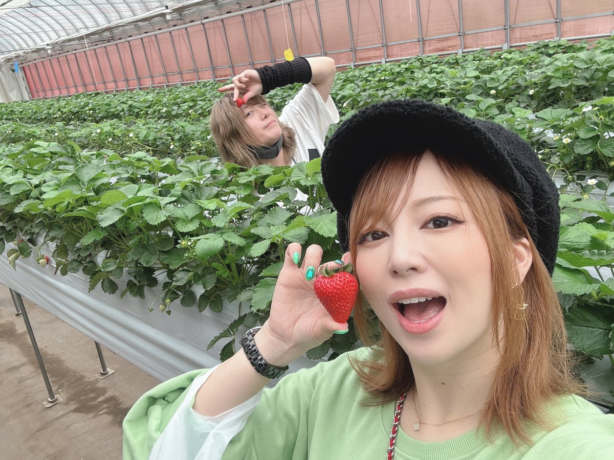 玉ちゃん🍏 (@tama_chan_nya) / Posts / X