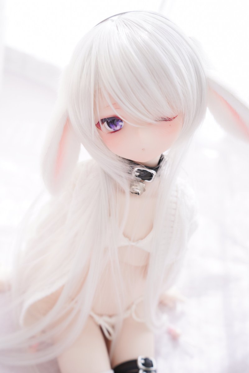 宣伝失礼致します。
明日まで2人のおうち探しをしております✨

💜→auctions.yahoo.co.jp/jp/auction/m12…
🩵→auctions.yahoo.co.jp/jp/auction/q12…

引き続きどうぞよろしくお願い致します😌