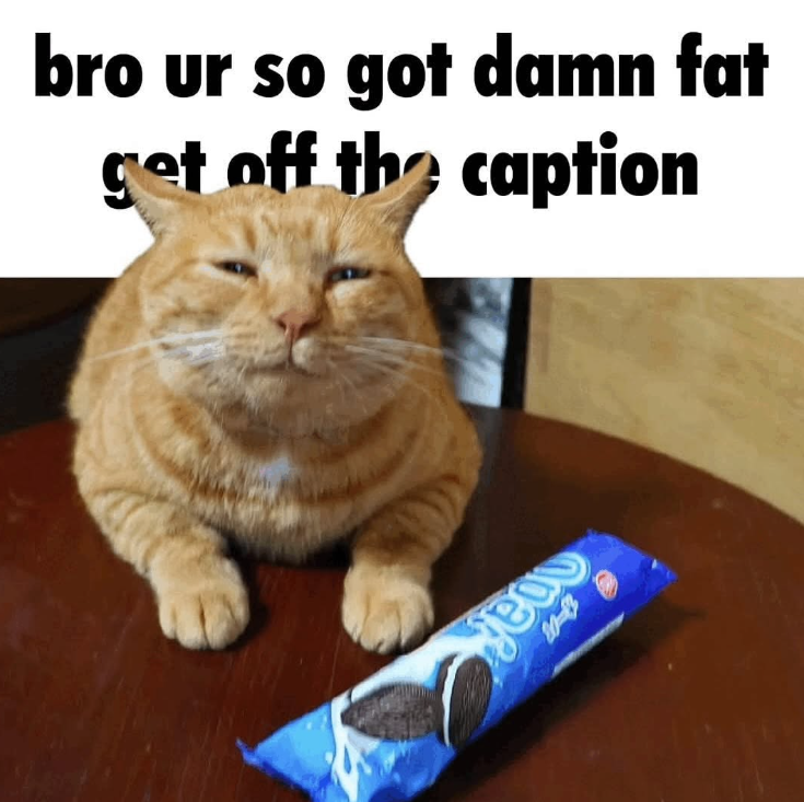 Shitpost 2077 (@shitpost_2077) on Twitter photo 