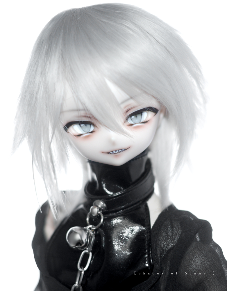 出品中です🦈
auctions.yahoo.co.jp/jp/auction/s12…