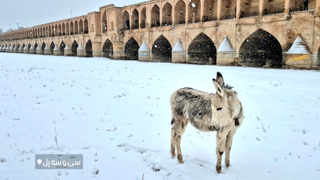 rezashakib70's tweet photo. حضور سرزده و ناگهانی یک هوادار تراکتور در اصفهان برای بازدید از سی و‌سه پل https://t.co/8iF4TT2ZVq