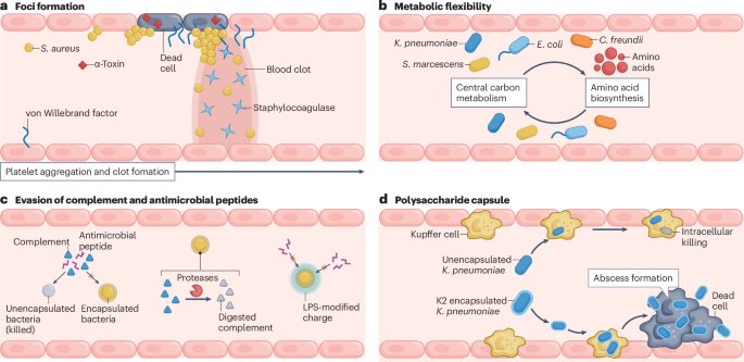 Wataru Hayashi / 林 航 tweet media