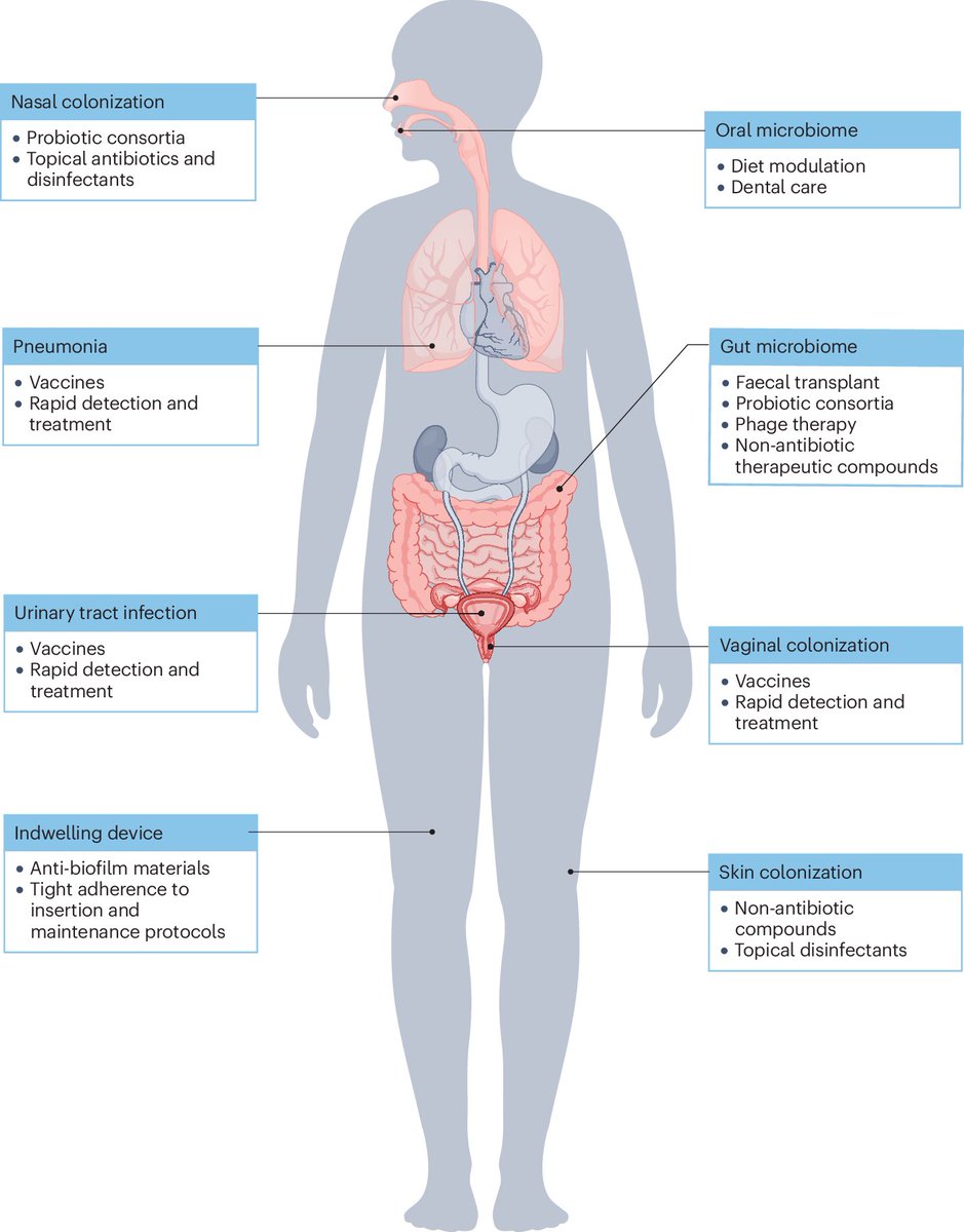 Wataru Hayashi / 林 航 tweet media