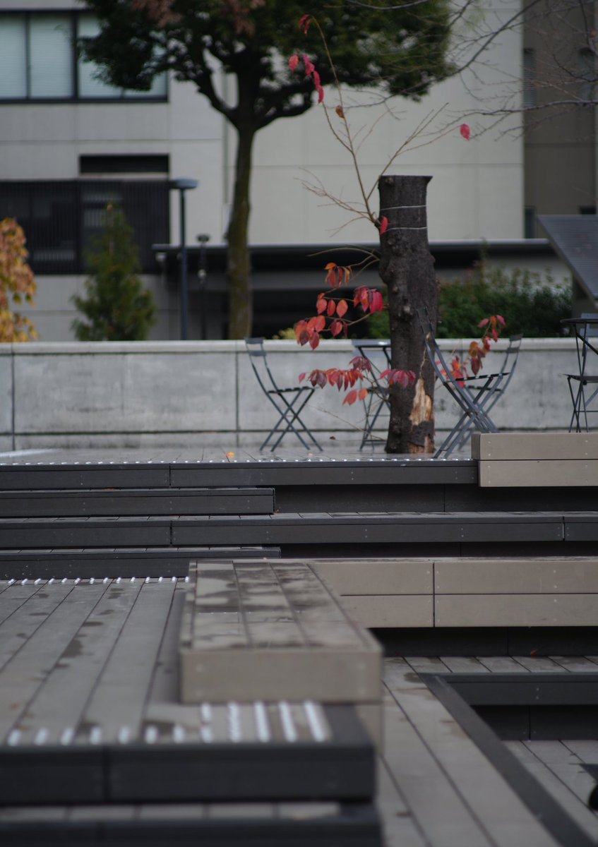 雨上がり 雨上がり #SIGMAfp +Vivitar 135MM 1:2.8（たぶん #オールドレンズ ）