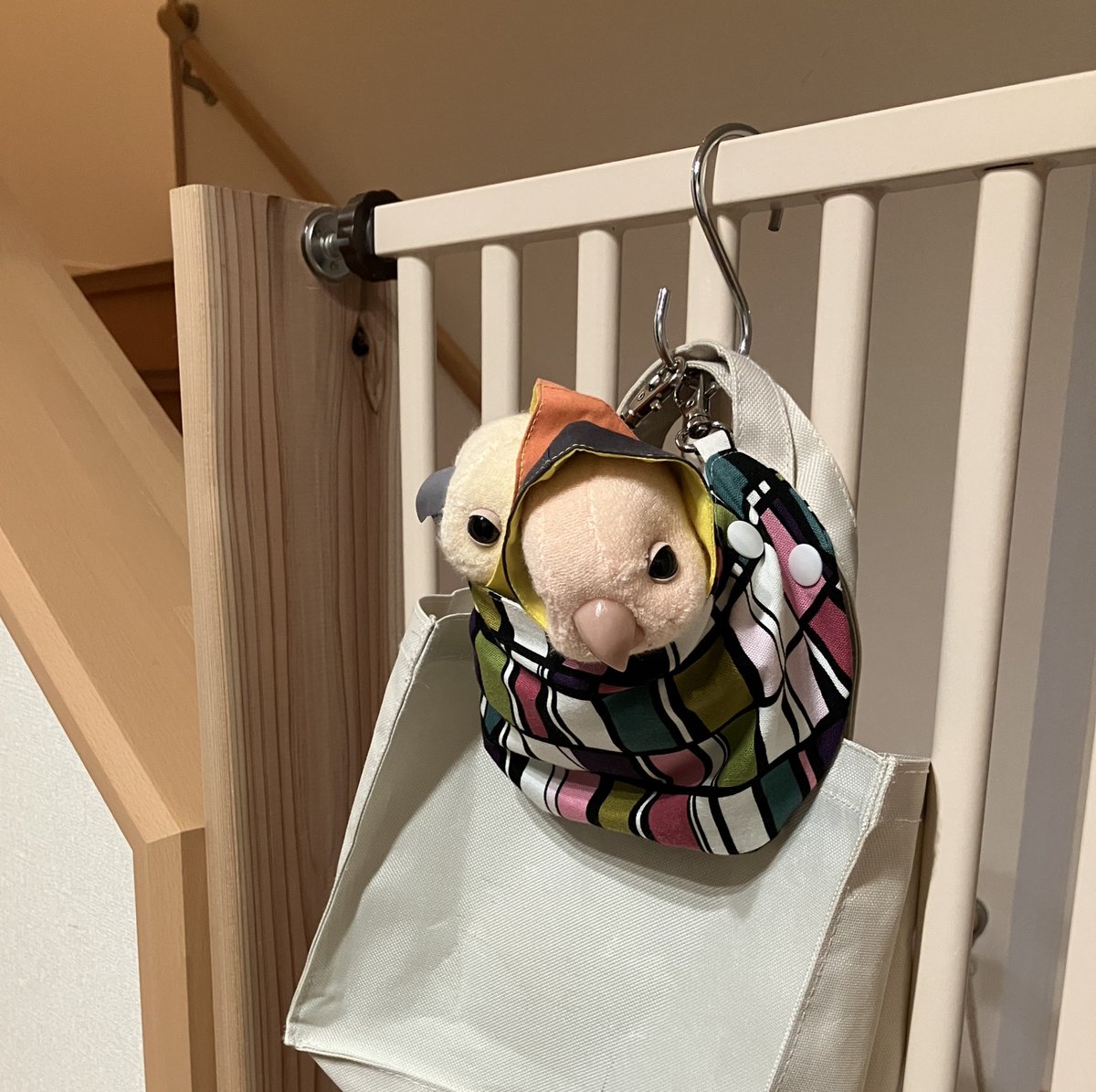 本日はお留守番で、玄関で待機。