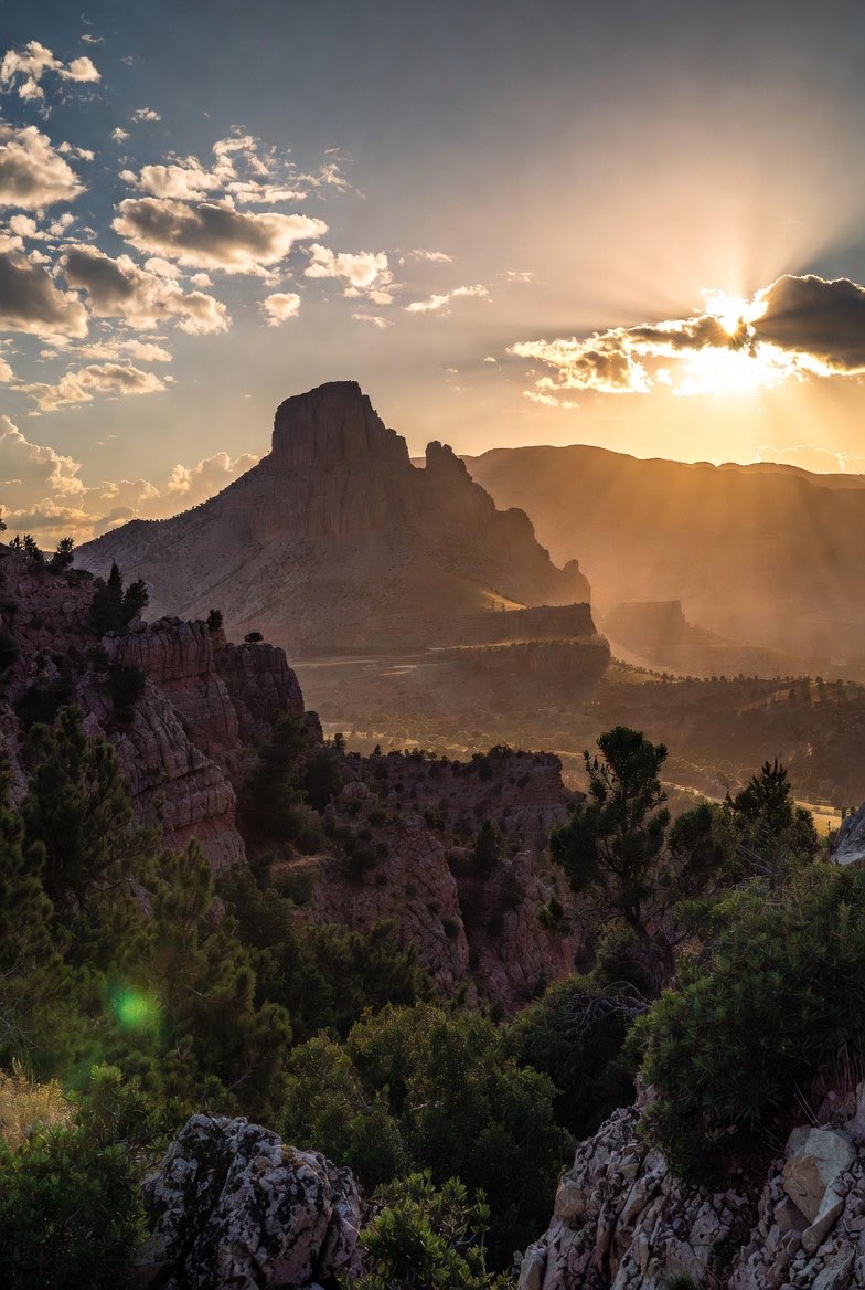 jagshir's tweet image. Good Afternoon 🌤️

A fresh chance to reset, refocus, and move forward with positivity. ✨
What’s one goal you want to achieve before today ends? 💭💪
#GoodAfternoon #StayMotivated