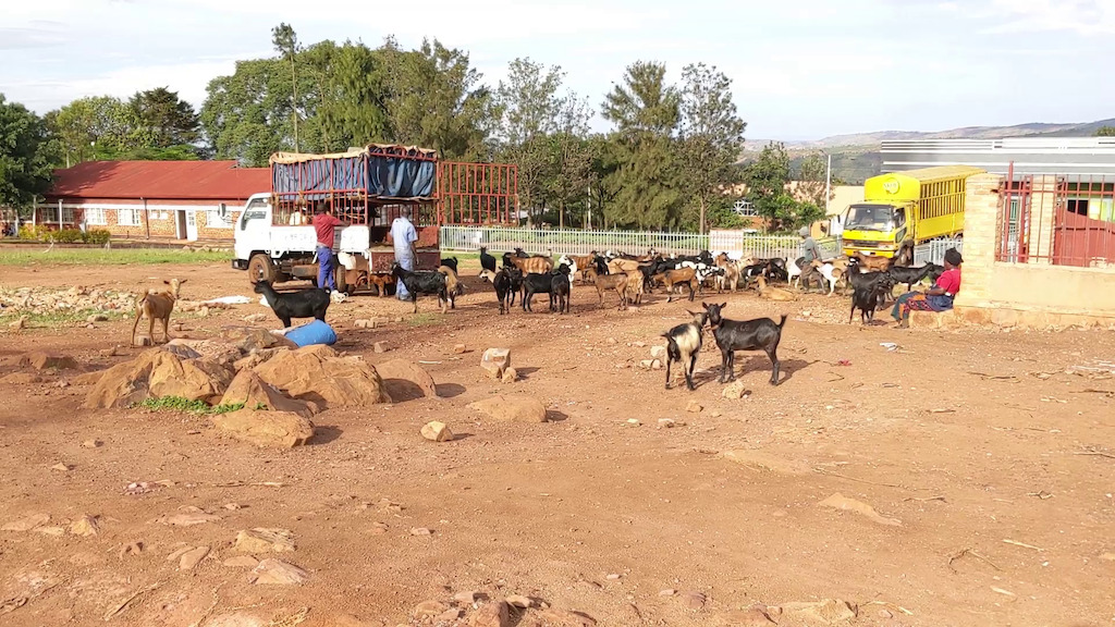 Kagenzi w'Imihanda tweet media