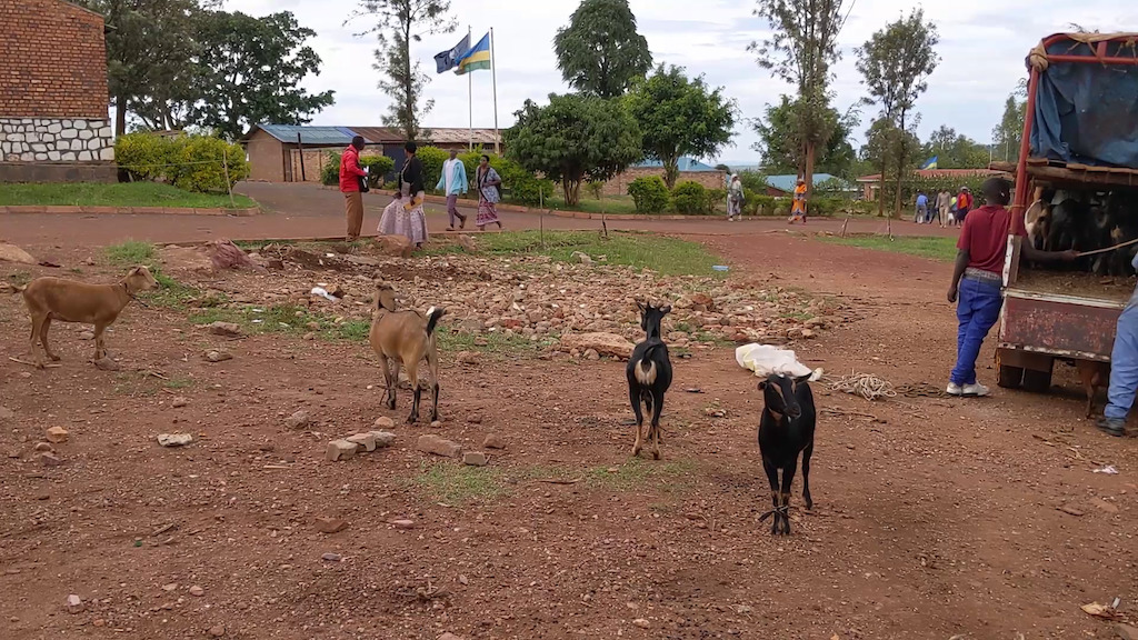 Kagenzi w'Imihanda tweet media