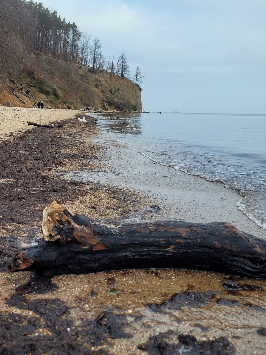 To miejsce poleca się na przedświąteczny spacer.
#wGdyni
__________
Fot. Michał Pęśko/ zdjęcie pochodzi z naszej facebookowej grupy Gdynia w obiektywie