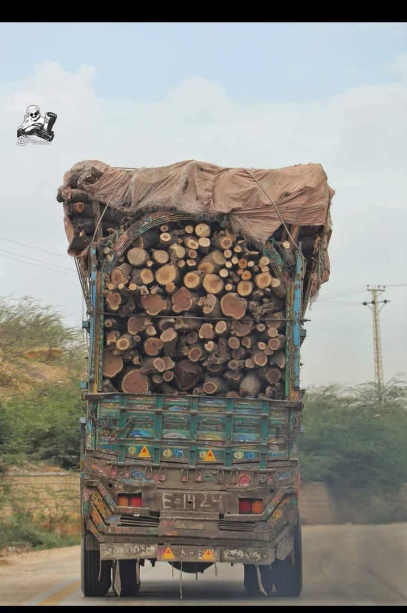 BalochHafeez201's tweet image. Kirthar National Park in Kohistan bans tree felling and sand/gravel mining, but these rules don't apply to timber and mining mafias. With official patronage, they're openly cutting trees and mining, while wildlife and other agencies turn a blind eye...1/2
#SaveKirthar