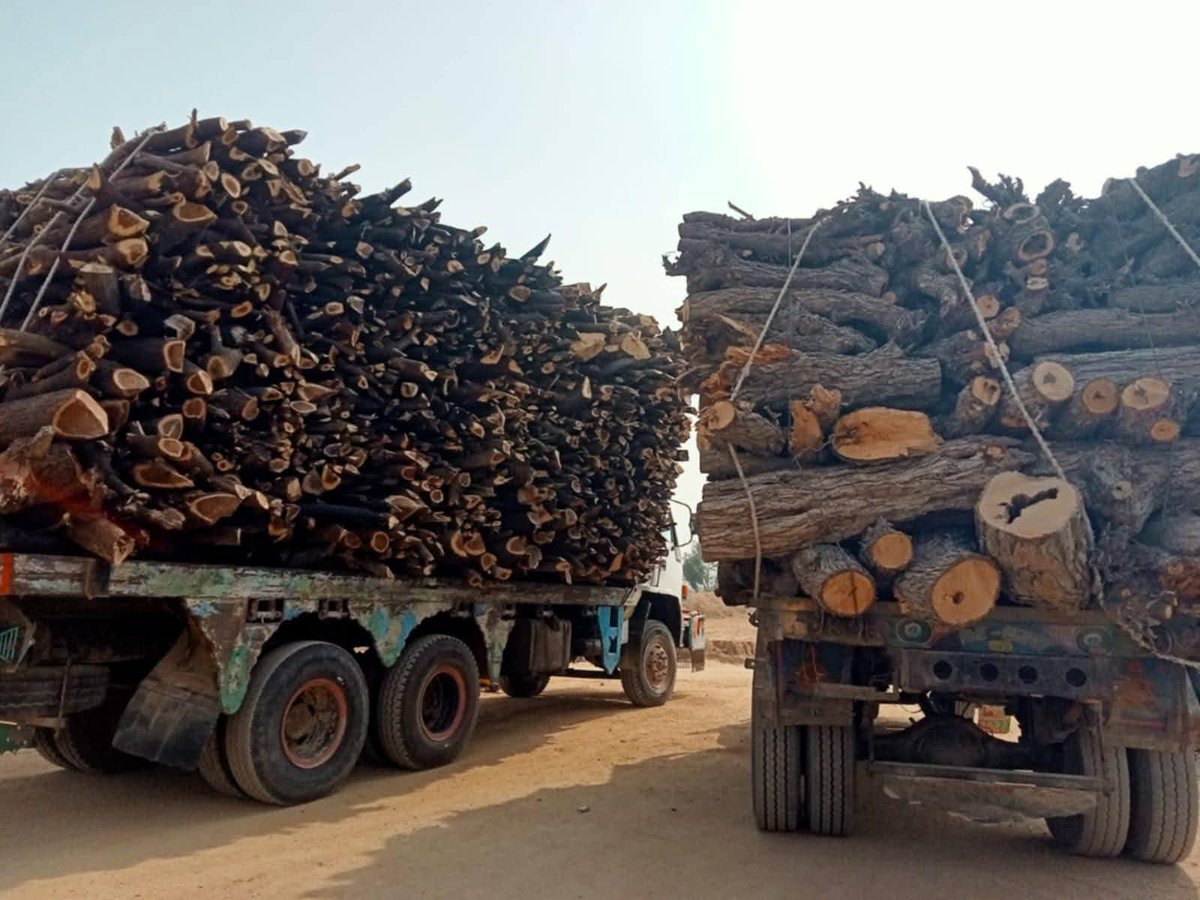 BalochHafeez201's tweet image. Kirthar National Park in Kohistan bans tree felling and sand/gravel mining, but these rules don't apply to timber and mining mafias. With official patronage, they're openly cutting trees and mining, while wildlife and other agencies turn a blind eye...1/2
#SaveKirthar