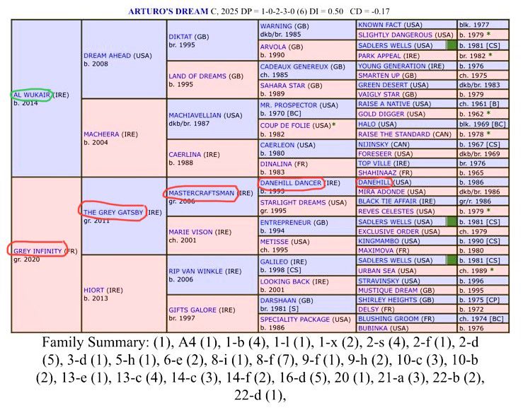 ArturoGrinda's tweet image. Análisis @StaminaTurf🏅para 2026 #AlWukair🏆 🏆🏆yeguas línea Danzig a través de la rama de Danehill. 
Gracias @JoaqunGL1 🙇‍♂️por hacer el cruce con Grey Infinity @Cuadra_SanJose 🔝🔝🔝