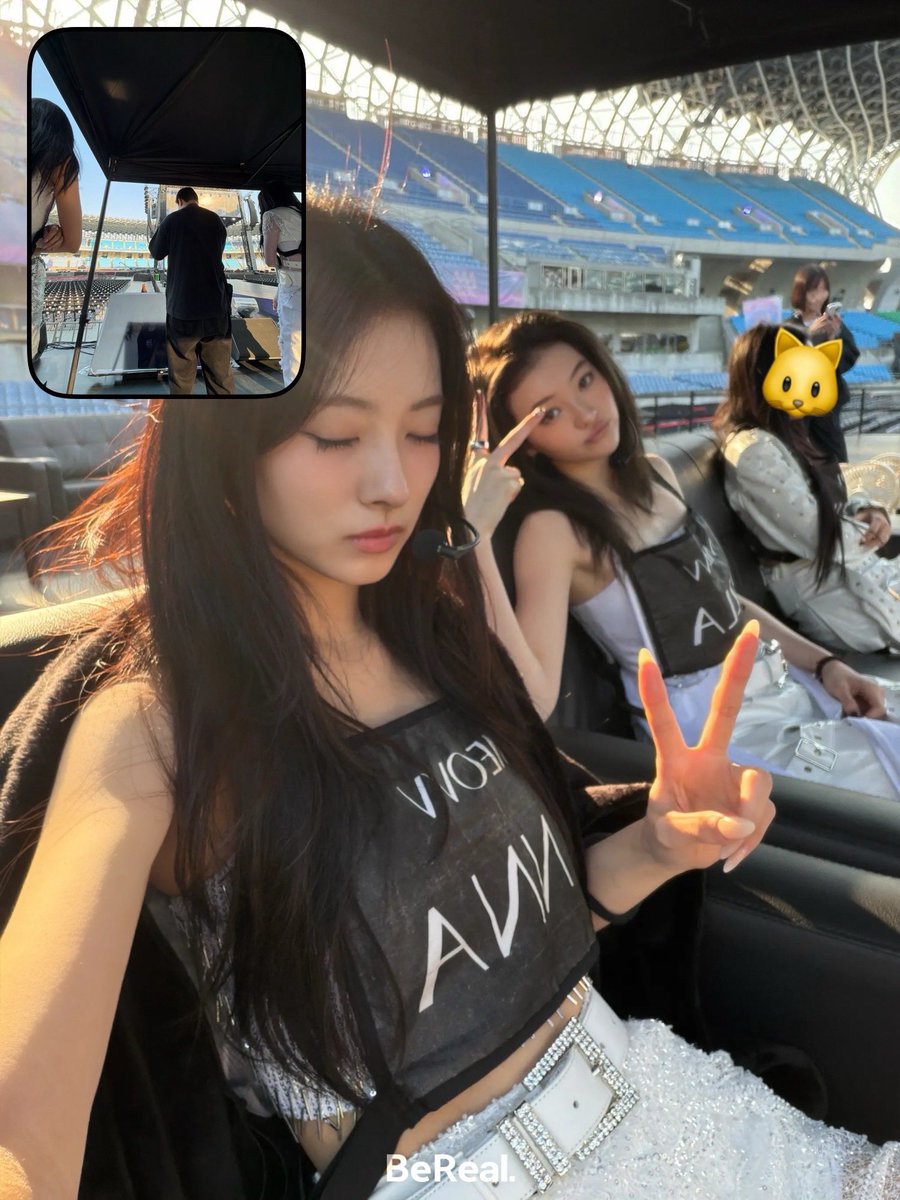 Post by anna pics on X: 🐈 🐱