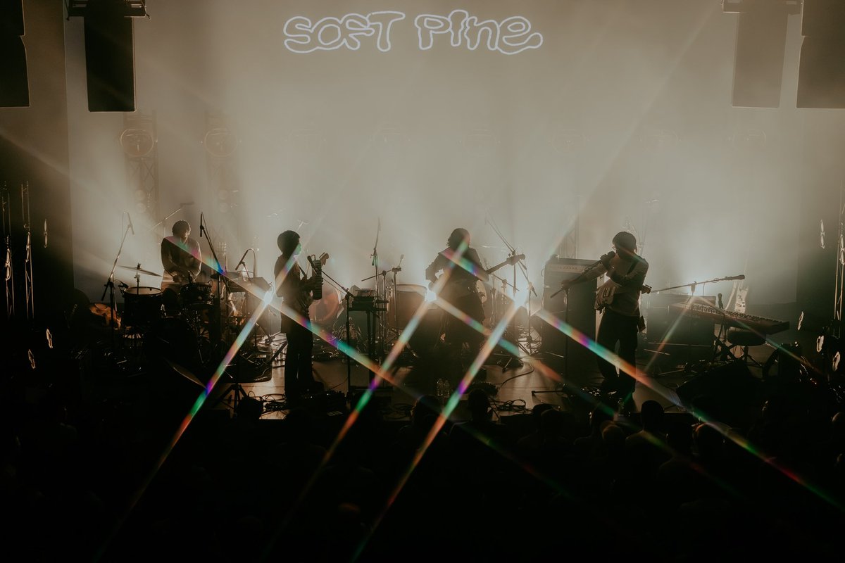 Soft Pine tweet media