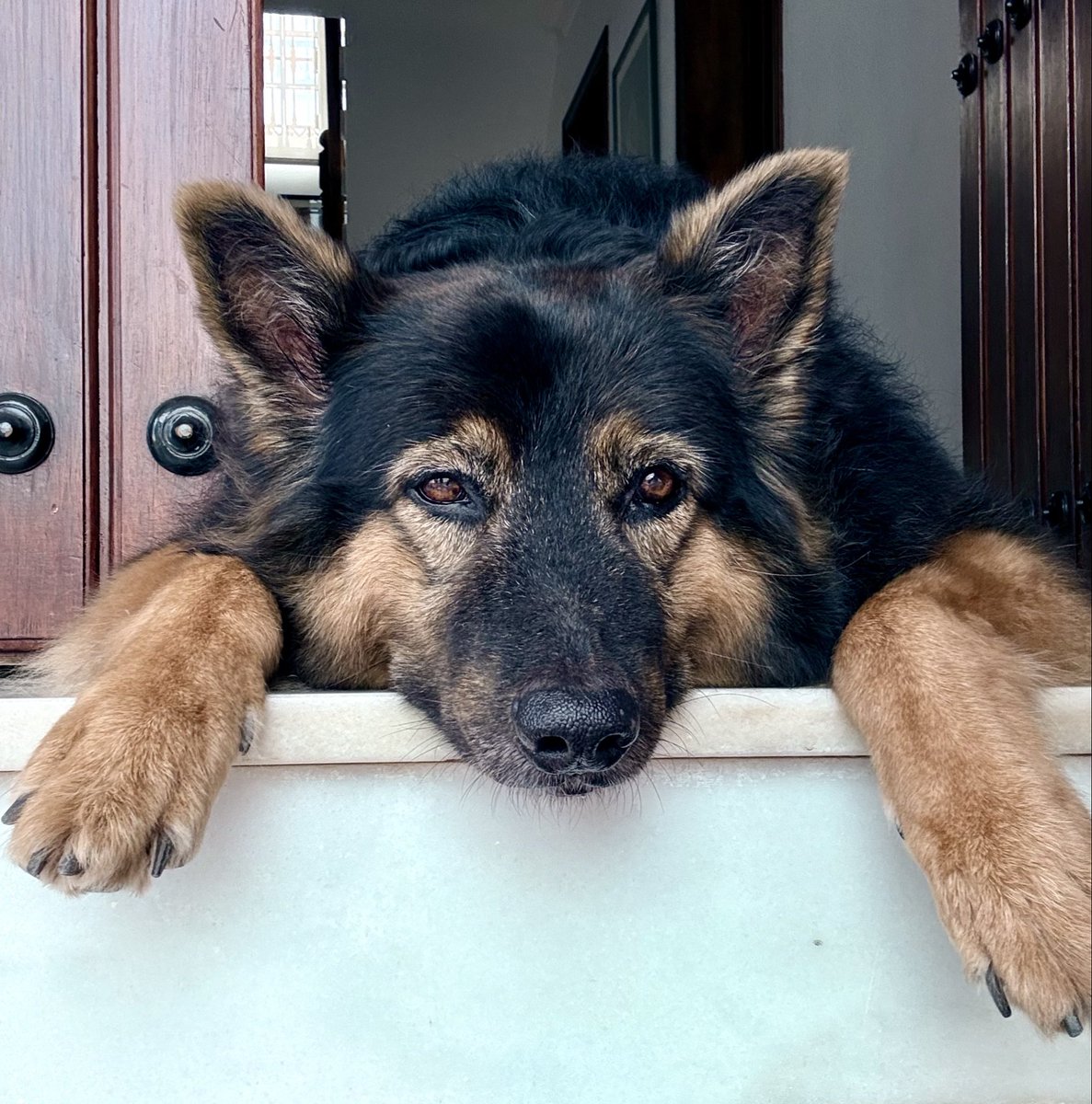 Carlitosway tweet media