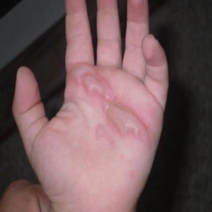 Elif ben tweet media