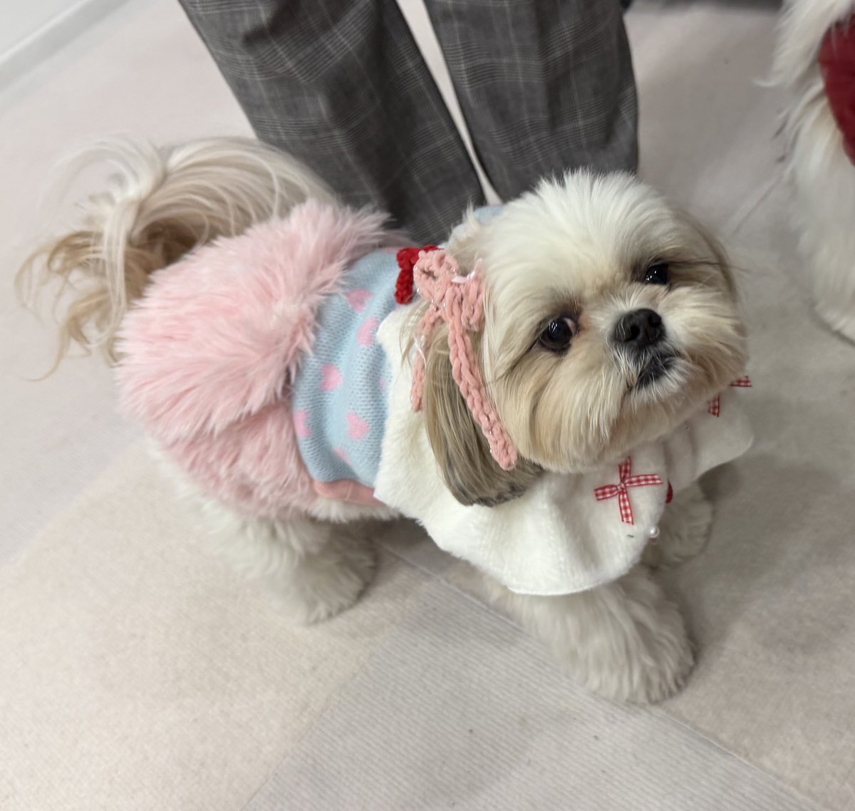 えっちゃん (@BokuEsteban) / Posts / X