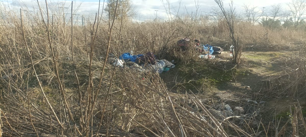 Vivan los parques cuidados, con árboles y vegetación, también en #Latina y #Carabanchel. Aprendan, <a href="/MADRID/">Ayuntamiento Madrid</a> <a href="/MasLatina_/">Más Madrid | Latina</a> <a href="/psoelatina/">PSOE Latina🌹</a> <a href="/PSOECarabanchel/">PSOE Carabanchel /❤️</a> <a href="/MasCarabanchel/">Más Madrid | Carabanchel</a>
guiadealuche.net/2025/11/el-col…
No  +  obras con pavimento y cemento para lucro de empresas 
#Salud 
#ParquesLibresdeCemento