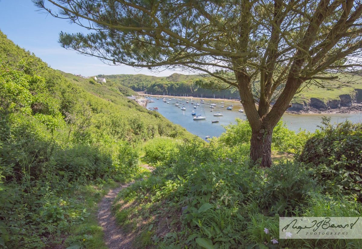 Nigel J Bevans Photo tweet media