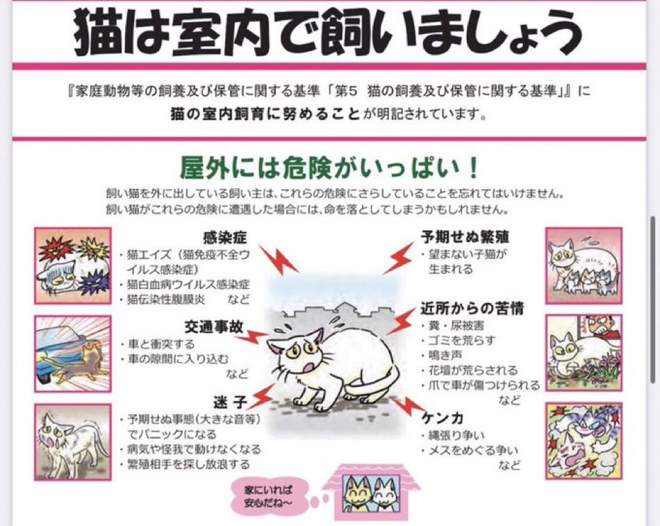 ミルクティ　プロフ必読ページ ミルクティー (@XwjYmdmlOY1n6Kx) on X