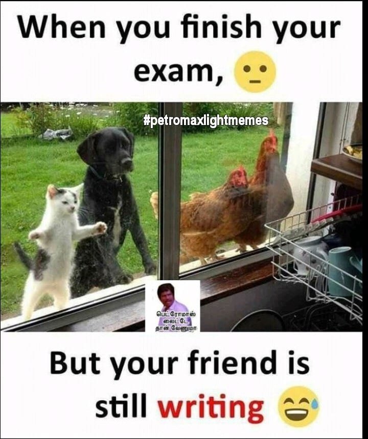 petromaxlight_'s tweet photo. When you finish your exam fast but your friend still writing
#meme #tamilmeme #chennaimeme #ChennaiRain #tamilmeme https://t.co/sUIpN4tWSt