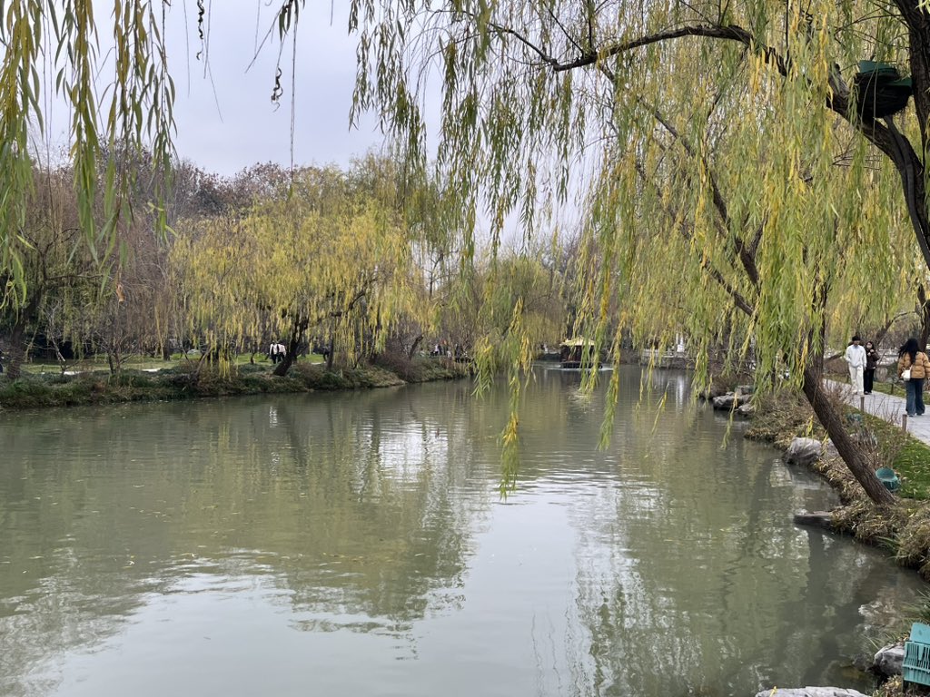 扬州の瘦西湖を観光してきた。柳の葉の色が変わりかけていてとてもきれいだった。観光客も少なかったしゆっくりと見て回れた。