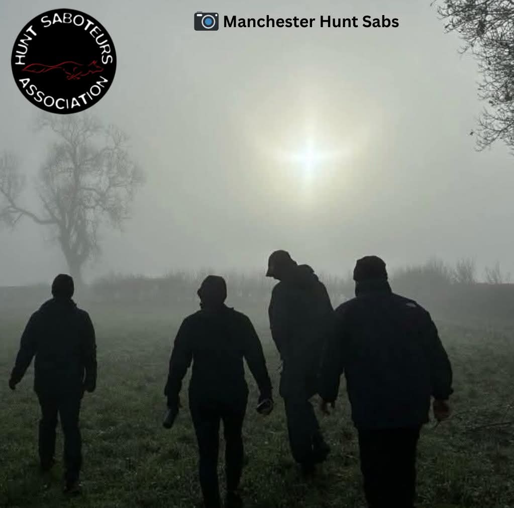 HuntSabs's tweet image. It's the final Saturday before Christmas, which means hunt saboteurs all over the country are popping on their waterproof boots and packing up their soysage rolls before heading out to save wildlife. 

The next few weeks are an extremely busy time for sabs and amidst all the…