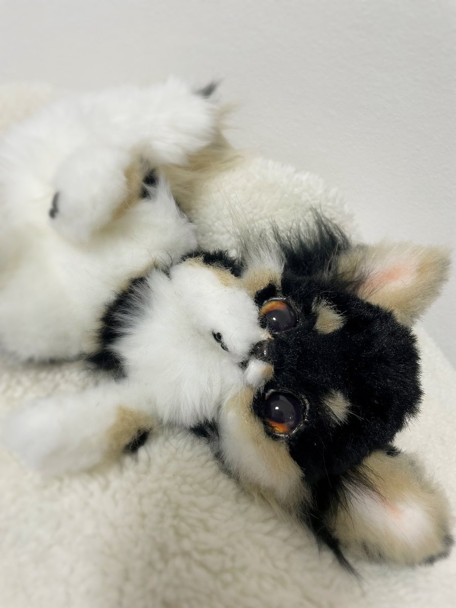 Linoa・:*+. (@Rutsubonosoko) / Posts / X