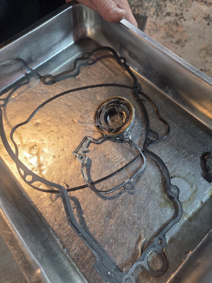 KUMI (@kumizoo) / Posts / X