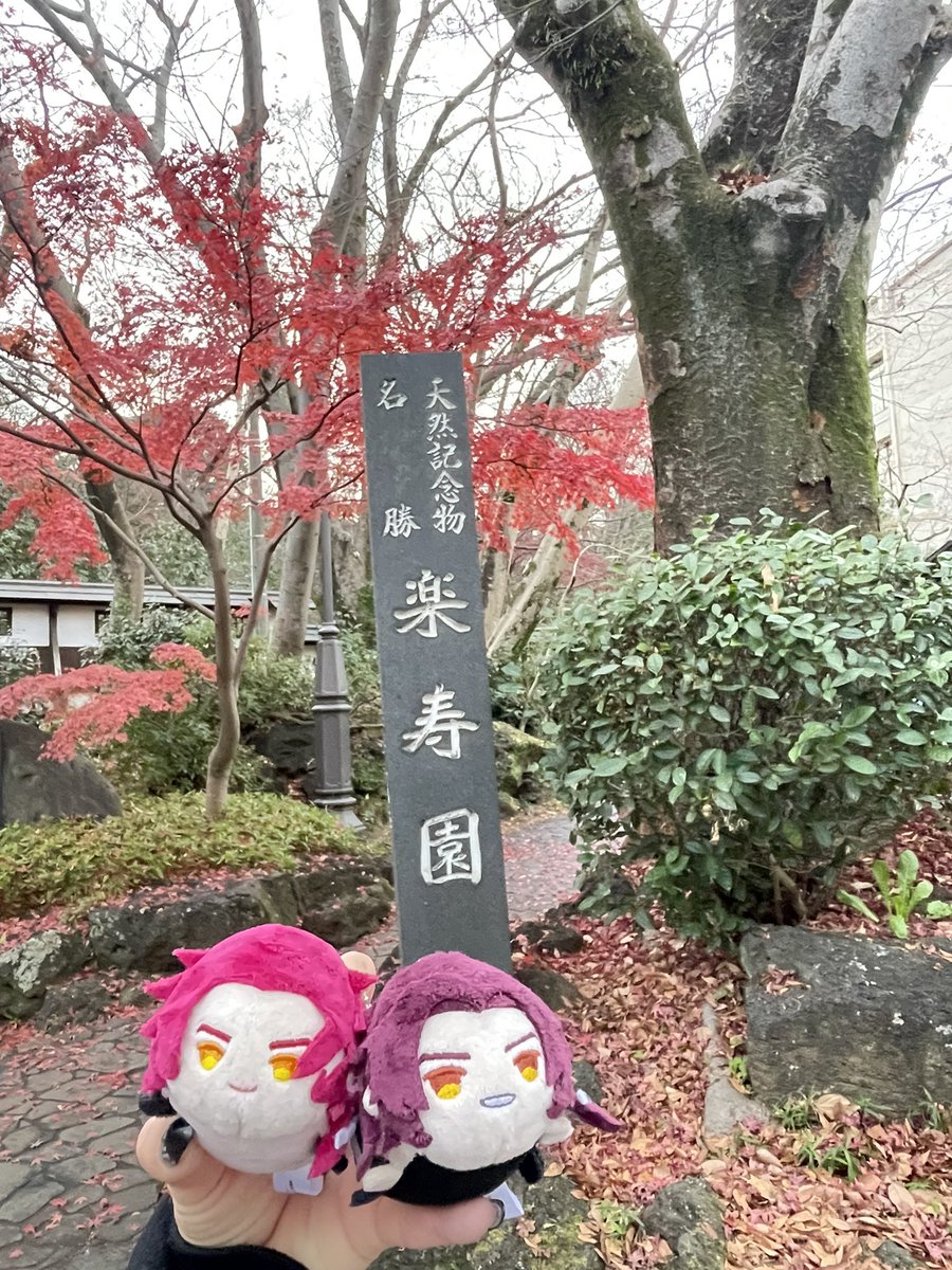 miZa_ta's tweet photo. h u h u h u h u…
つまりこういう事デスね！ https://t.co/xoSNvSwXfK